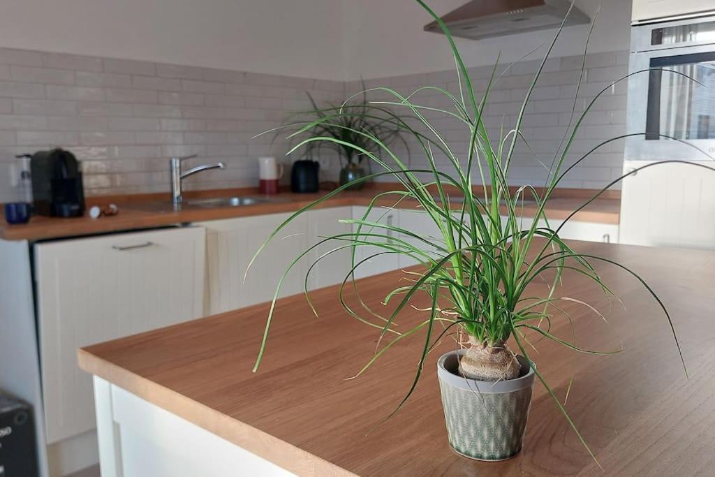 Ferienwohnung Stern Unterthingau Esterno foto